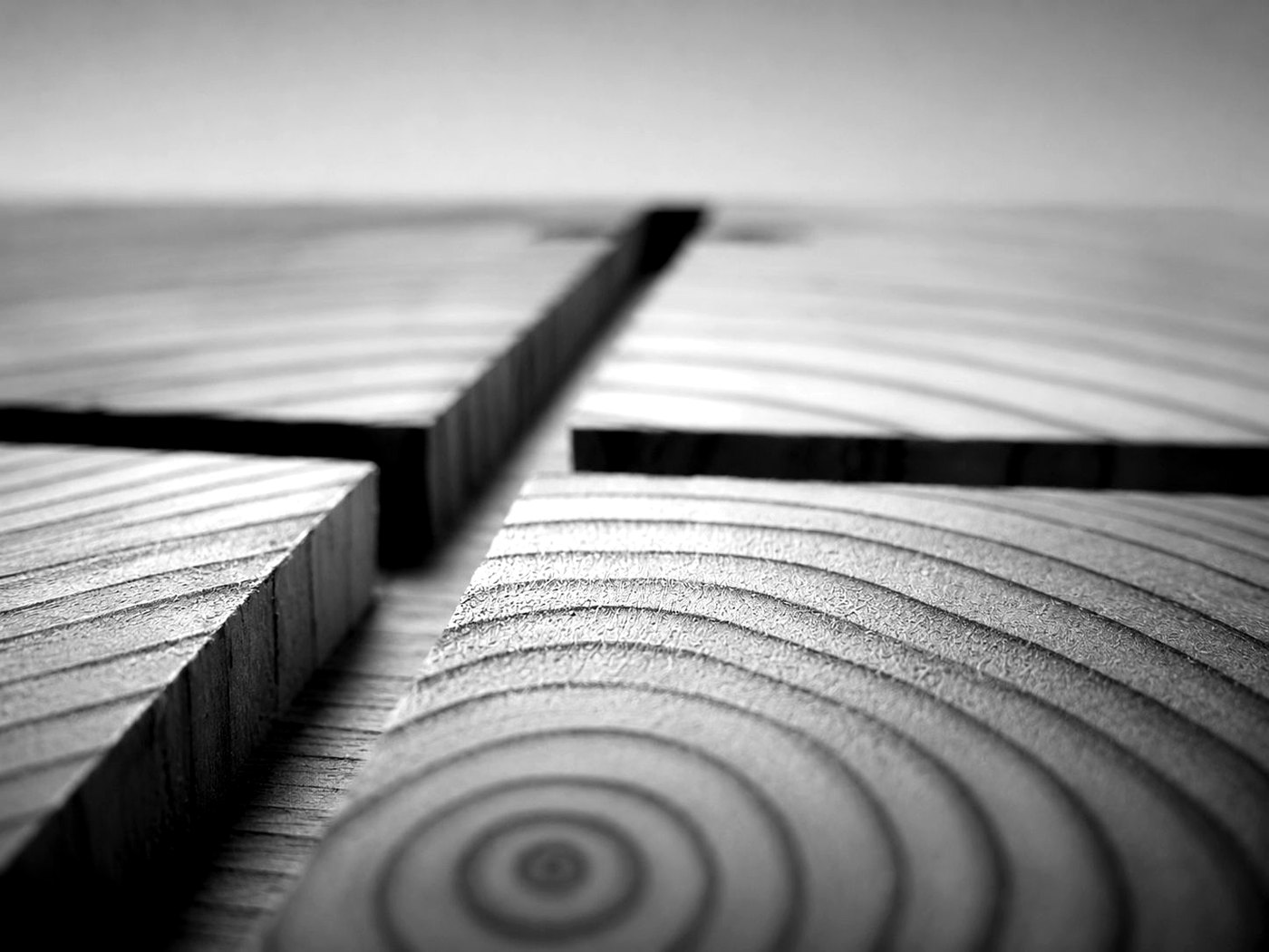 An open joint across the growth rings