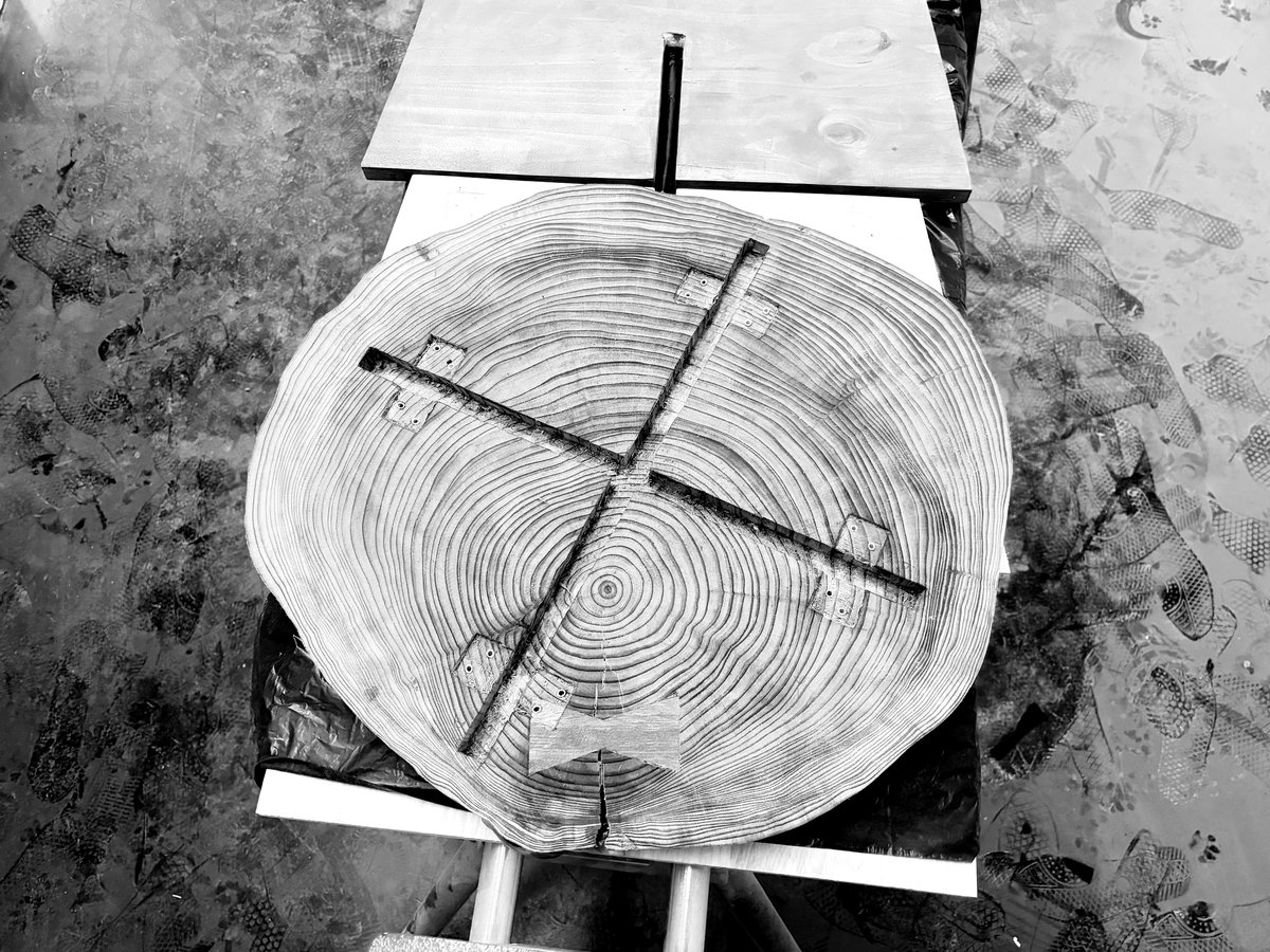 A log round — growth rings marked for cutting
